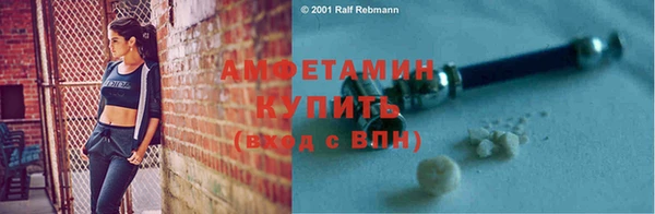 ешки Бородино