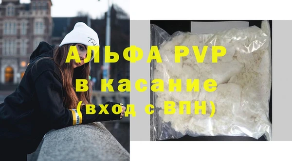 ешки Бородино
