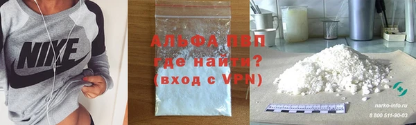 ешки Бородино