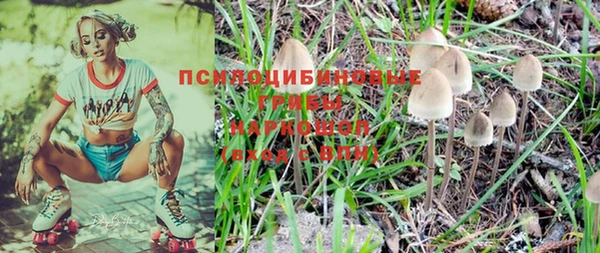 ешки Бородино
