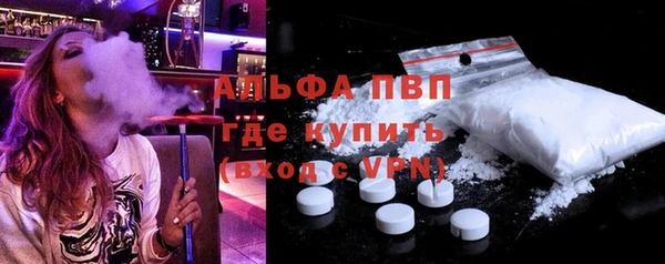 ешки Бородино